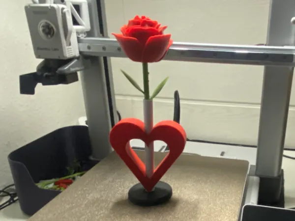 https://makerworld.bblmw.com/makerworld/model/USbf084afe83b29/design/2025-02-05_2ab5a9efbdb68.jpg