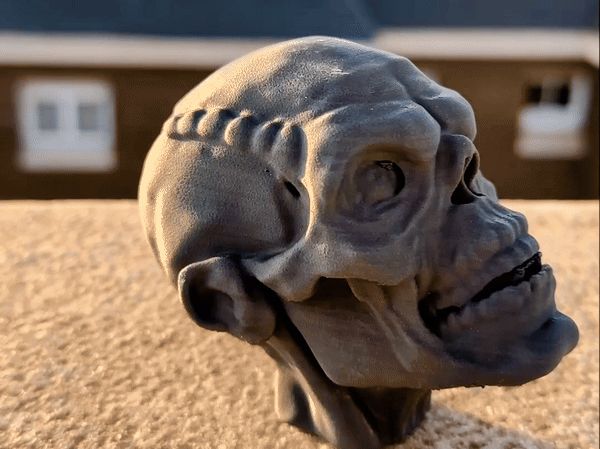 Dark Skull Halloween Edition