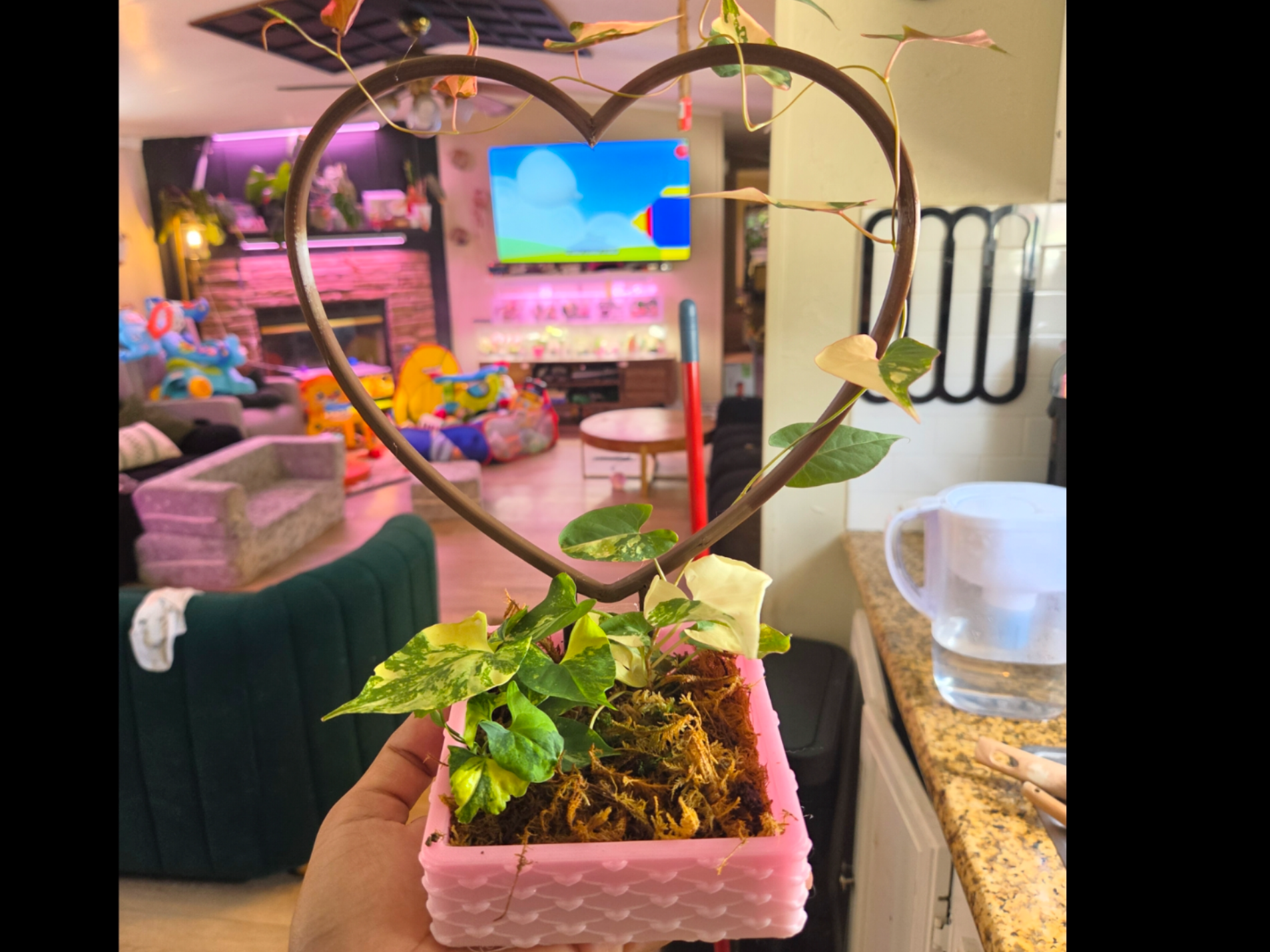 squared pot with heart trellis 3D model