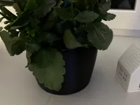 0.16mm layer, 2 walls, 10% infill mit Pausen