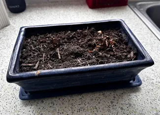 Tray/Saucer for Planter