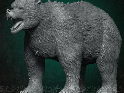 Bear