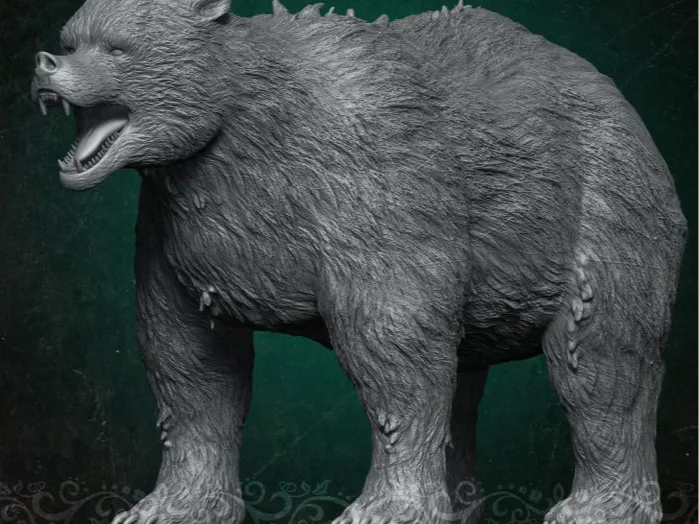 Bear