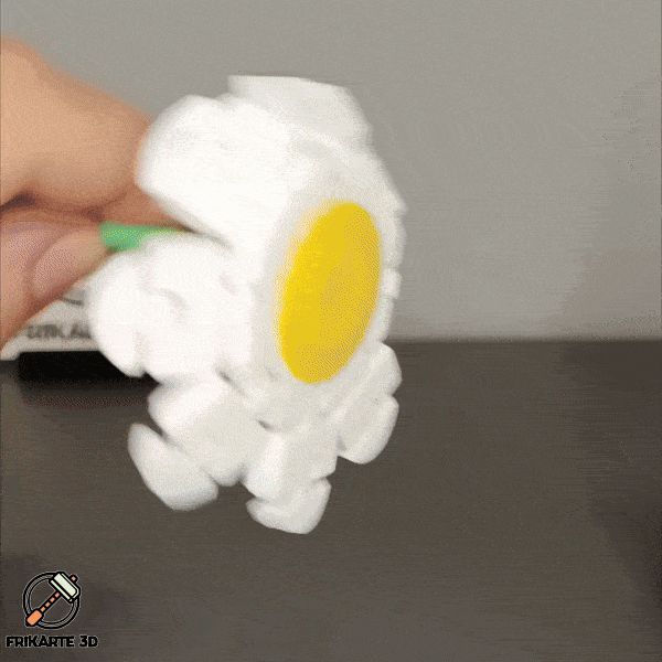 https://makerworld.bblmw.com/makerworld/model/USbf1a40d706c3d3/design/2024-04-08_4167bbb19f66f.gif