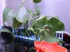 0.24mm layer, 2 walls, 15% infill