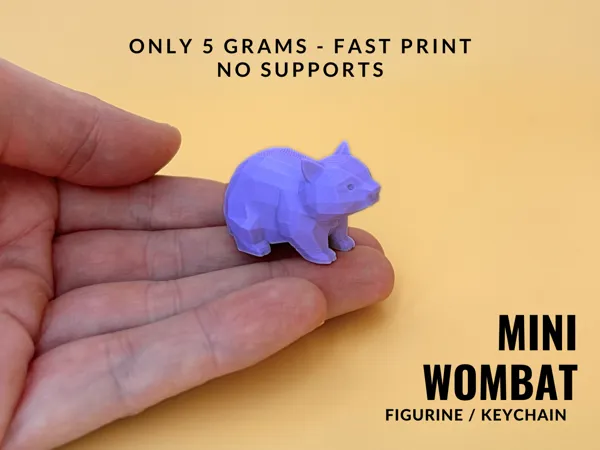 https://makerworld.bblmw.com/makerworld/model/USbf2a7ac863e923/design/2025-07-29_2fbc2b5fc4f328.png