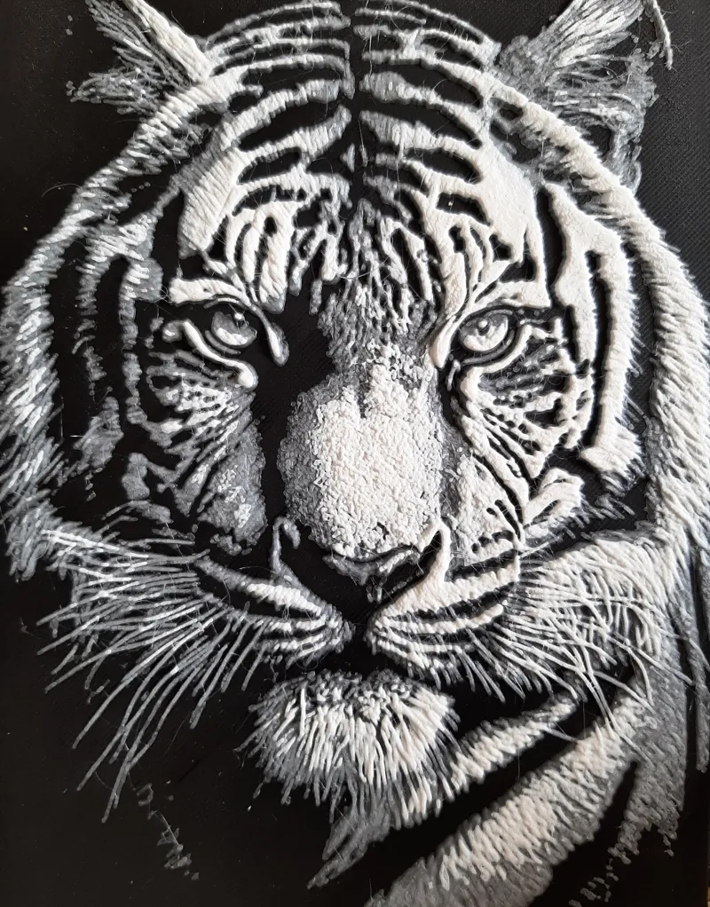 tiger 3 colors print hueforge
