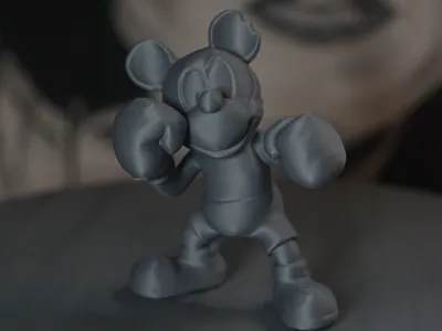 mickey boxing