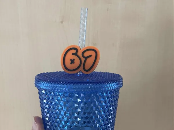 https://makerworld.bblmw.com/makerworld/model/USbf34e80f4b36aa/design/2025-10-17_bb809e0b2c3238.jpeg