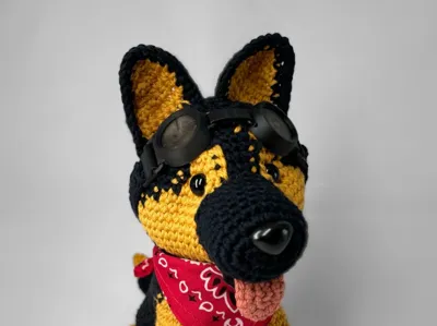 Goggle for Dogmeat