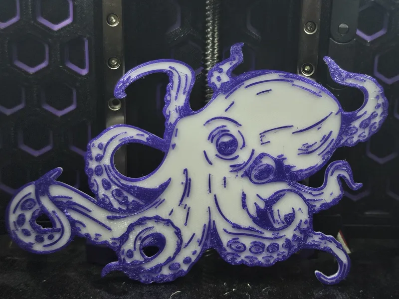 2D octopus