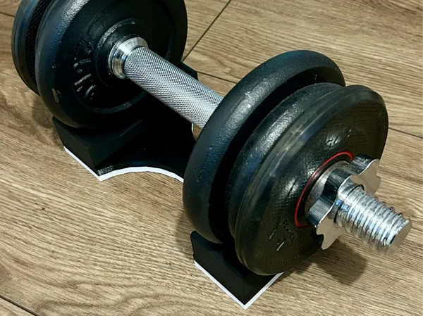 https://makerworld.bblmw.com/makerworld/model/USbf3ea9fecacae4/design/2024-11-29_12af543dfd66d.jpeg
