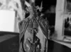 0.16mm layer, 2 walls, 15% infill
