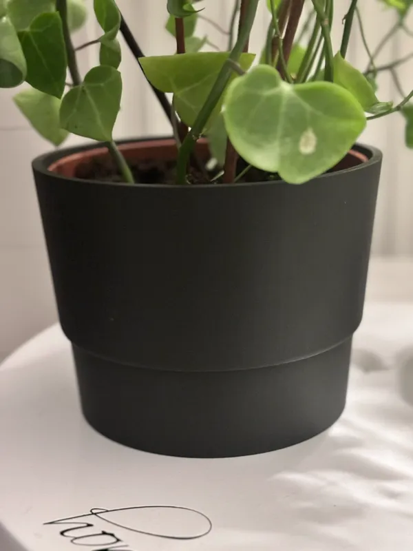 https://makerworld.bblmw.com/makerworld/model/USbf433f1537a4e8/design/2024-03-26_2a6cdbfe7878c.jpeg