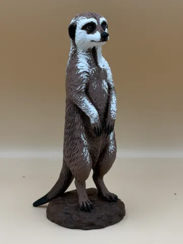 Tapa o cubierta: Desert Lookout Meerkat — vista de referencia 2