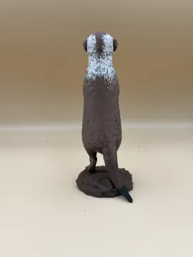 Tapa o cubierta: Desert Lookout Meerkat — vista de referencia 3