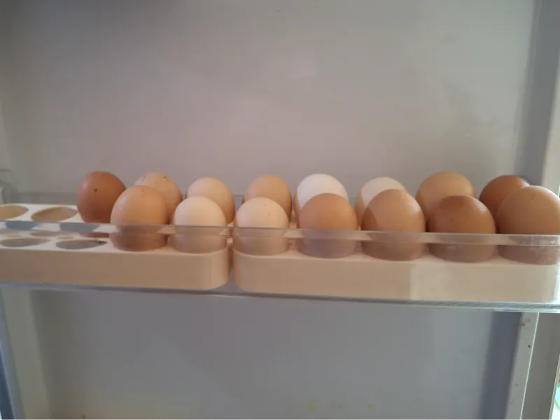 Egg tray
