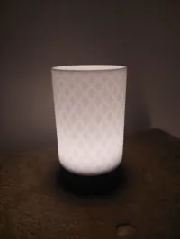 Hidden diamond 0.16mm layer, 4 walls, 0% infill