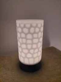 Hidden voronoi 0.16mm layer, 4 walls, 0% infill