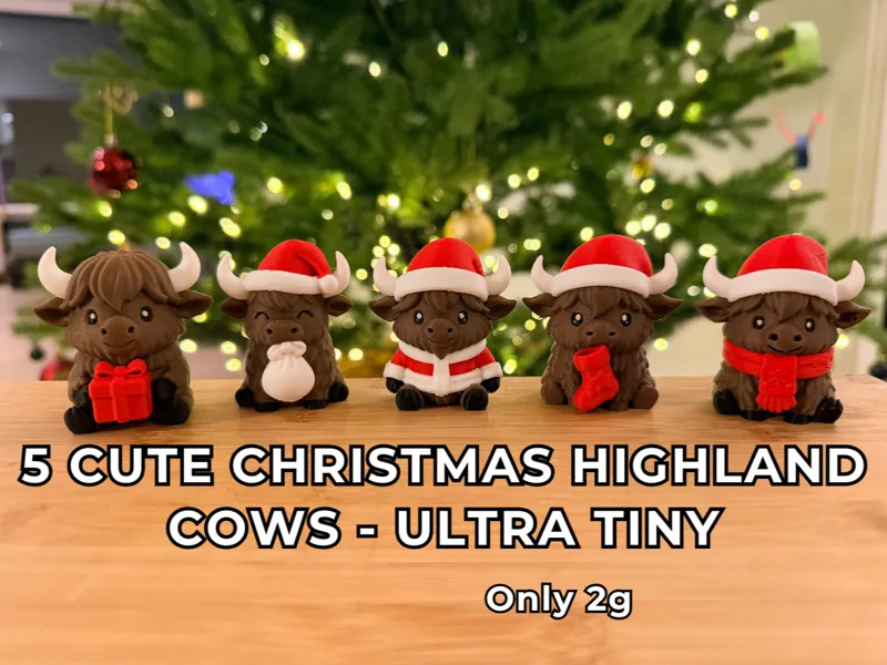 Cute Christmas Highland Cows - Set of 5