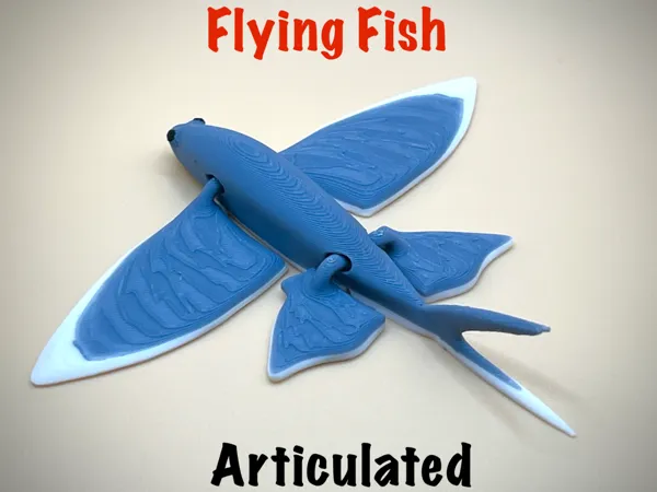 https://makerworld.bblmw.com/makerworld/model/USbf533c228f775/design/2025-02-28_794e44a2a7a628.jpeg