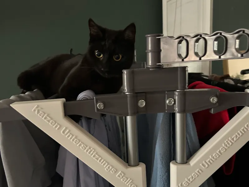 Katzen Unterstützungs Balken (sic!)