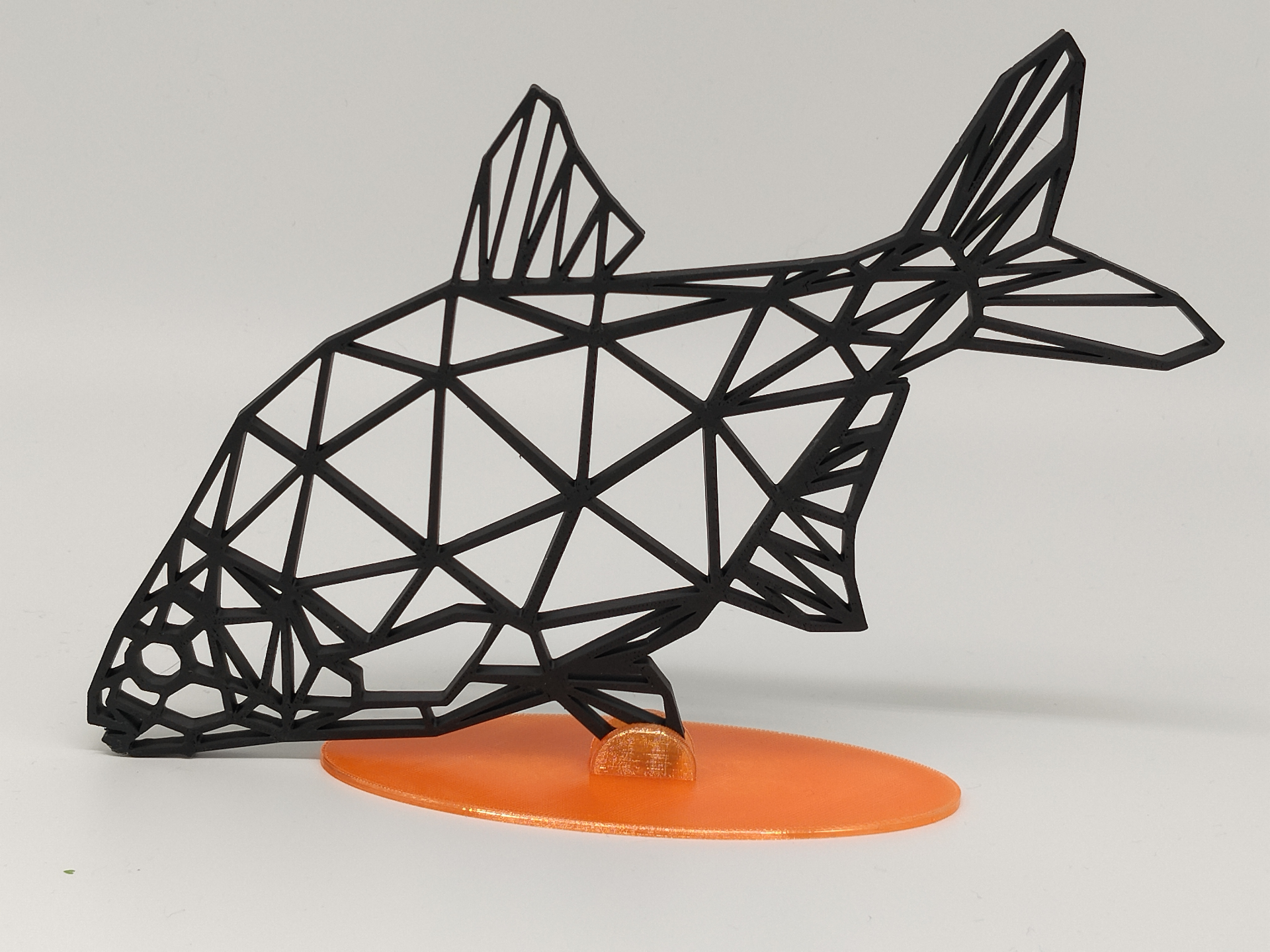 Wandbild Brachse - Bream