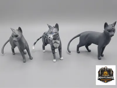 Jayfeather Warriors Warrior Cat Inspired Model