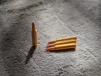 5.56x45mm, Inert, 28rds - Multicolour