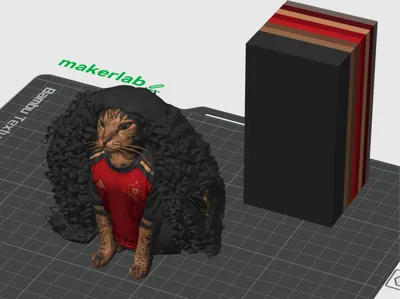 The Cucurella cat - Spain 2026