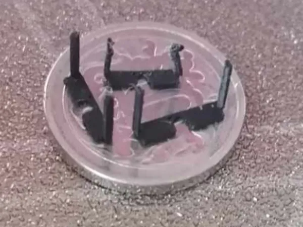 https://makerworld.bblmw.com/makerworld/model/USbf6db29e7d1bb3/design/2024-10-13_faf68d81c9c74.png