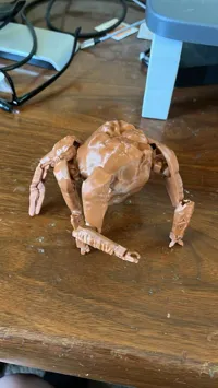Rocky V3 Optimized Print Orientation