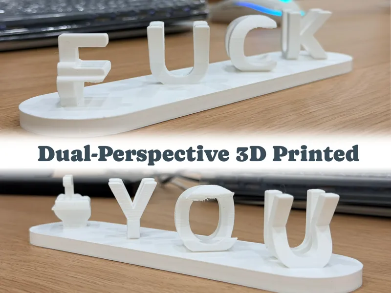 Dual-Perspective_F**k-You