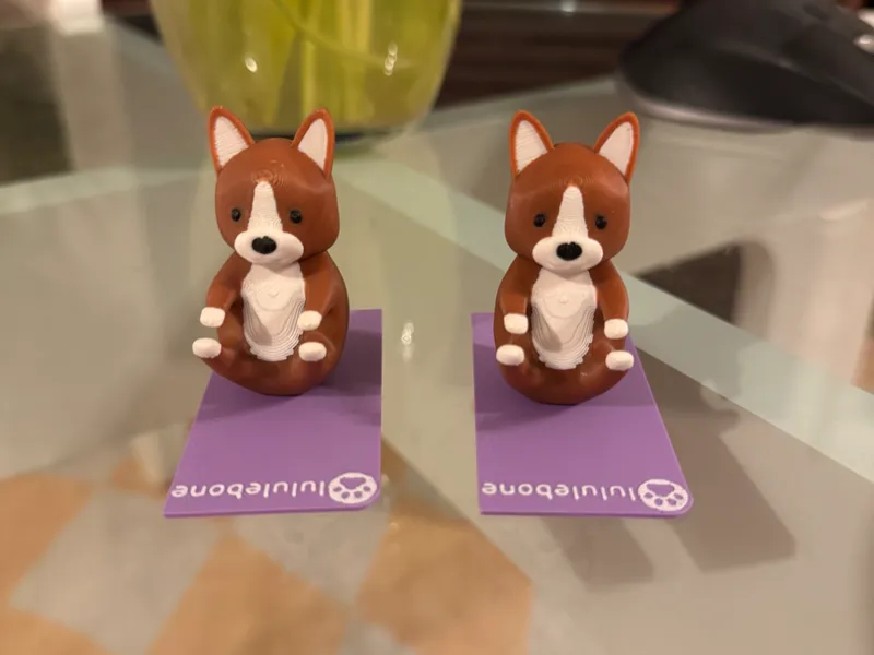 Yogi Corgis - Navasana (Boat Pose)