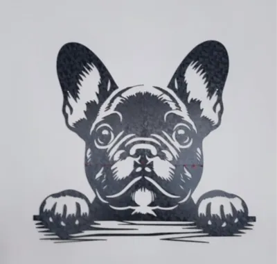 French bulldog