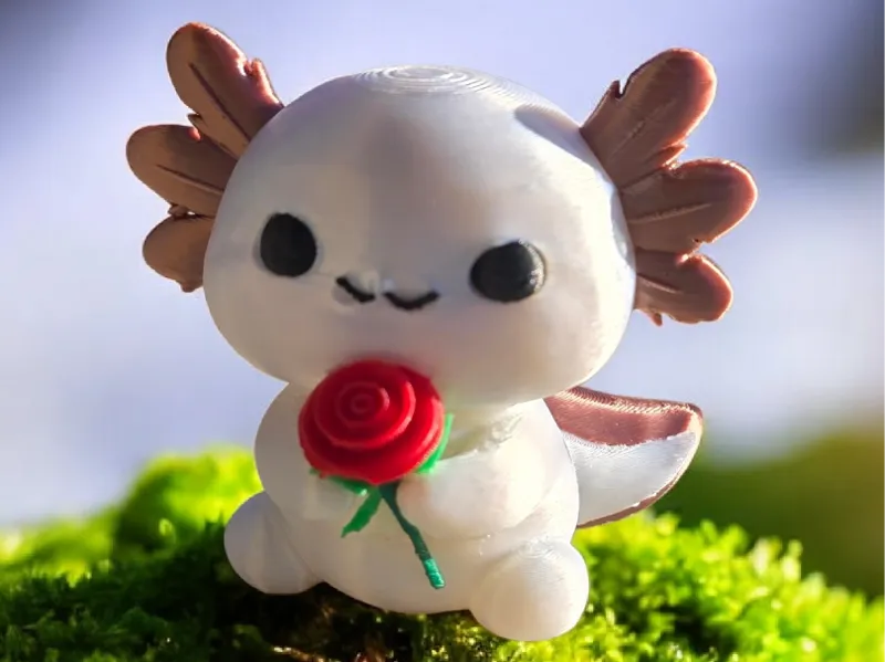 Mr. Axol Rose (Axolotl)