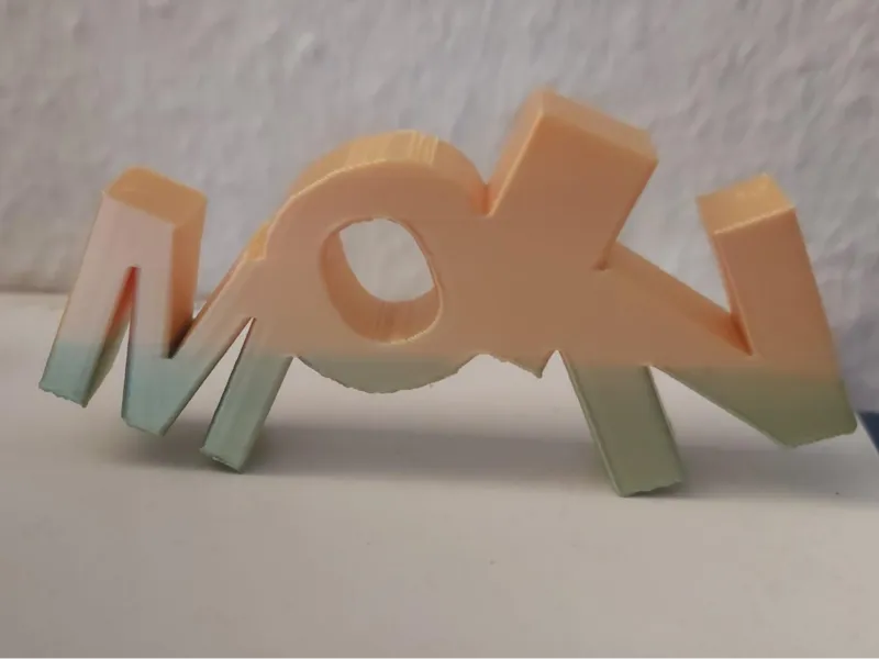 MOIN Schriftzug