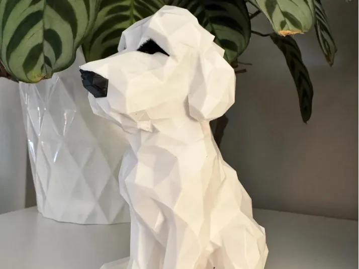 Sonny the Goldendoodle (Low Poly)