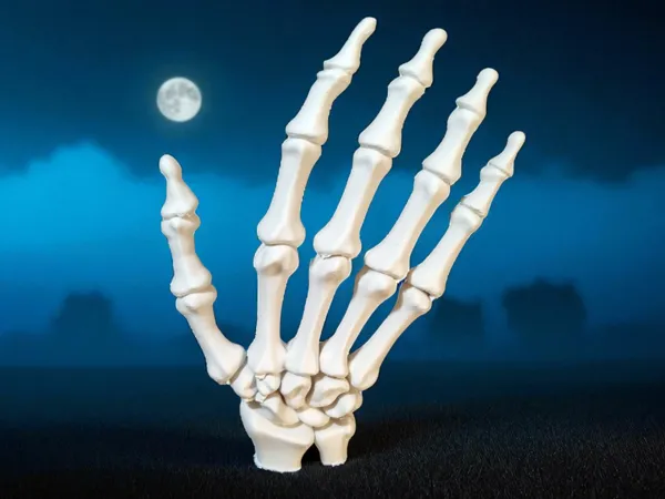 https://makerworld.bblmw.com/makerworld/model/USbf8ea12f43b070/design/2025-09-19_f300df9581cfb.jpg