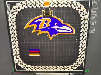 Baltimore ravens 