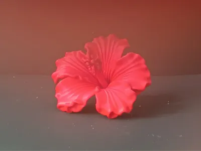 Hibiscus flower