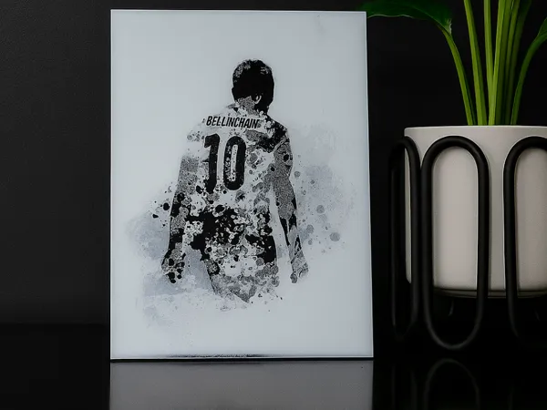 https://makerworld.bblmw.com/makerworld/model/USbf933e0039058c/design/2025-07-16_26db78eac56918.jpg