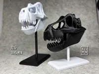 Skull + Display stand