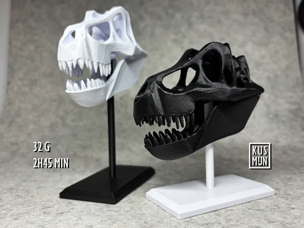 https://makerworld.bblmw.com/makerworld/model/USbf9516a484850e/design/2025-02-26_a27f533768b6.png