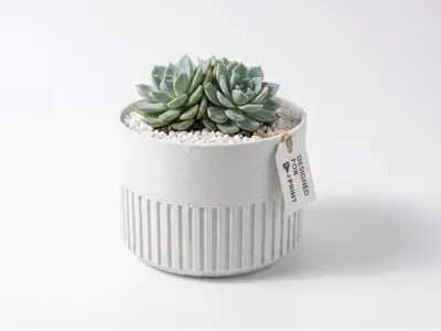ribbed planter