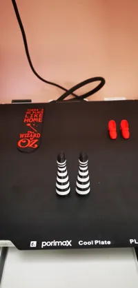 0.2mm layer, 2 walls, 15% infill, with ironing