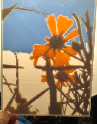 sunflower litho 