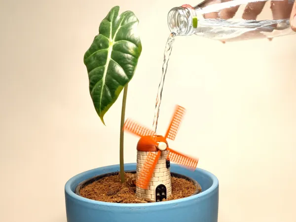 https://makerworld.bblmw.com/makerworld/model/USbf97548e37d9aa/design/2025-02-21_53bf9ab7399dc.jpg
