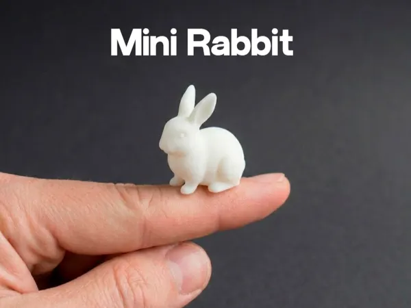 https://makerworld.bblmw.com/makerworld/model/USbf9a18c6af75f5/design/2026-01-06_6ae97e40d553f8.png