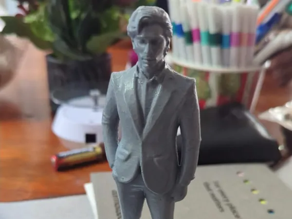 https://makerworld.bblmw.com/makerworld/model/USbfa11b3ce97f5a/design/2025-03-09_e7248ba503eab.jpeg